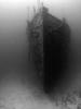 Der Bug des Wracks Lina vor der Insel Cres
